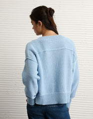 AE Long Weekend V-Neck Sweater
