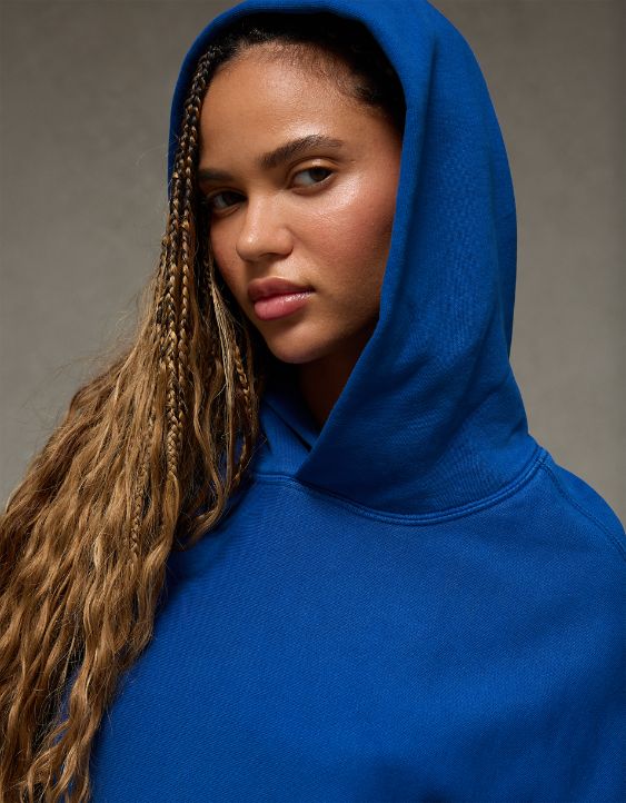 AE Laidback Luxe Heavyweight Hoodie