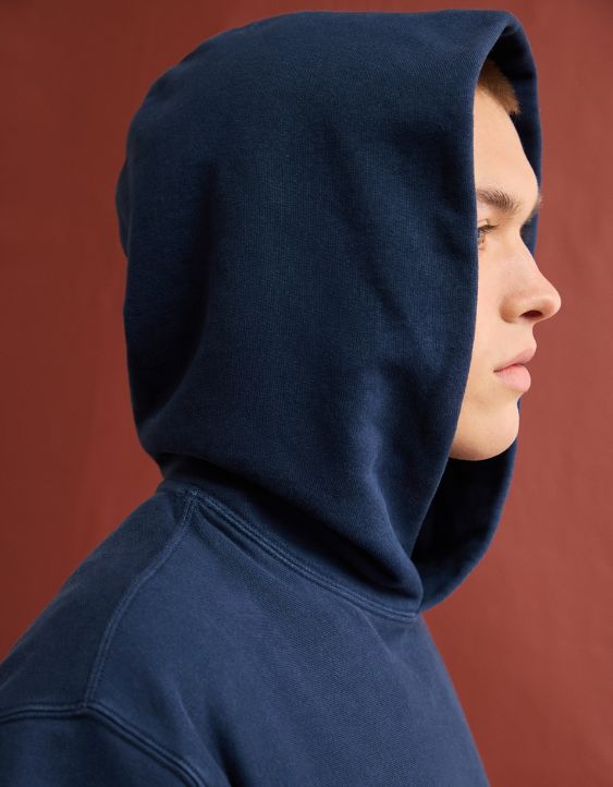 AE Laidback Luxe Heavyweight Graphic Hoodie