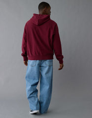 AE Laidback Luxe Heavyweight Graphic Hoodie