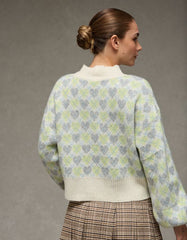 AE Snow Stopper Sweater