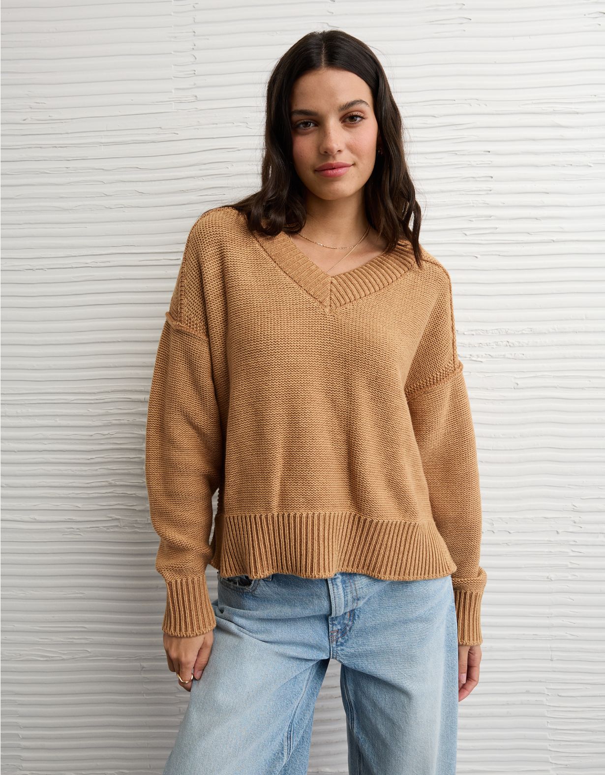 AE Long Weekend V-Neck Sweater
