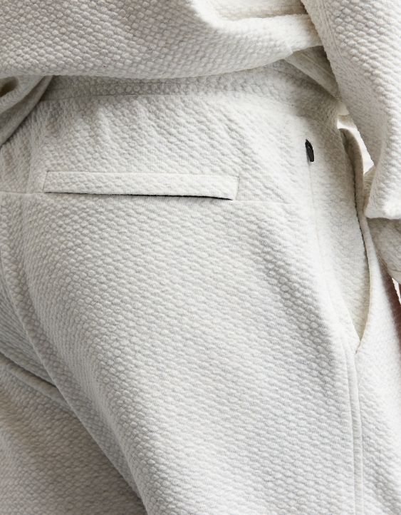 AE 24/7 Textured Fleece Jogger