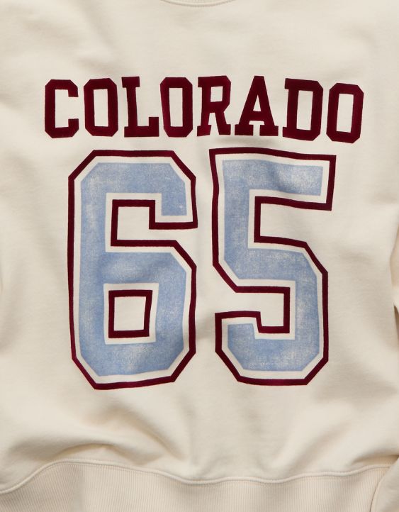 AE Relaxed Graphic Sweatshirt